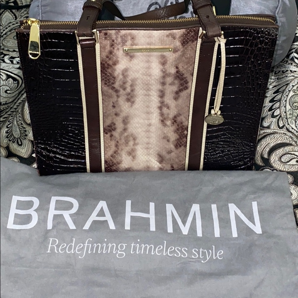 Brown Brahmin